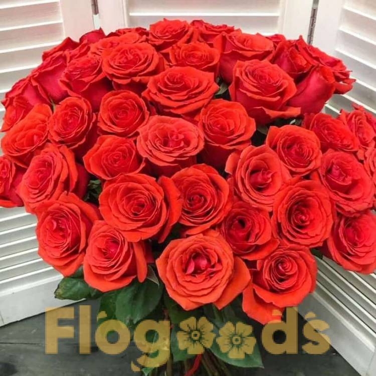 51 красная роза за 20 490 руб.